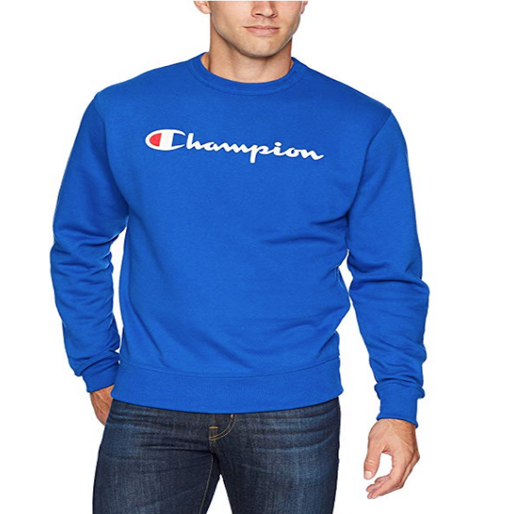 Champion Mens Sweatshirt GF88H-5EC Surf The Web | Premium